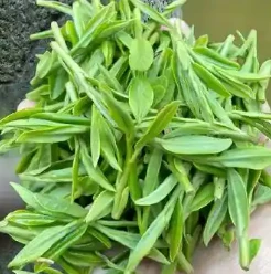 West Lake Longjing Tea